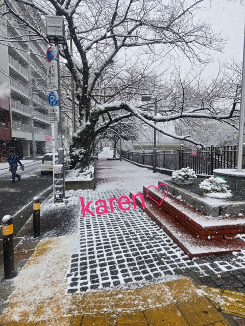 久々の雪。