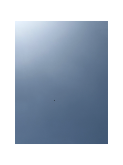 今日は