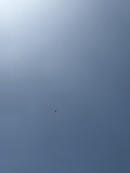 今日は