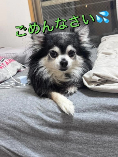 ごめんなさい💦