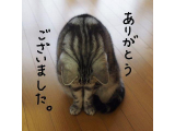 【お礼写メ日記】