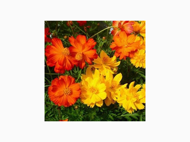 ご予約ありがとうございます♡