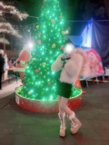 🎄一緒に過ごそ？♡