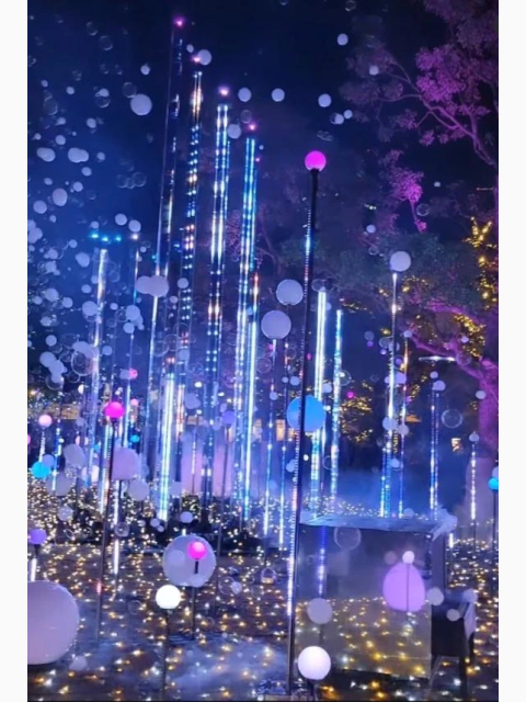 おはようございます✨✨