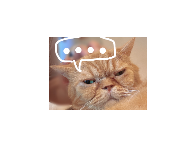 おやすみしますm(__)m