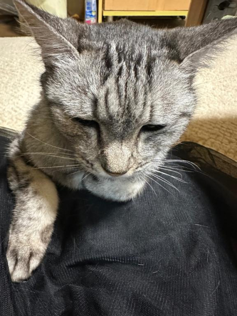 退勤しました