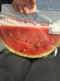 今日🍉もらった！！