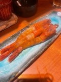 🦐