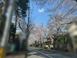 年度末だねぇ