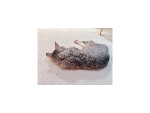 おやすみなさい ໒꒰ྀིᴗ . ᴗྀི꒱১