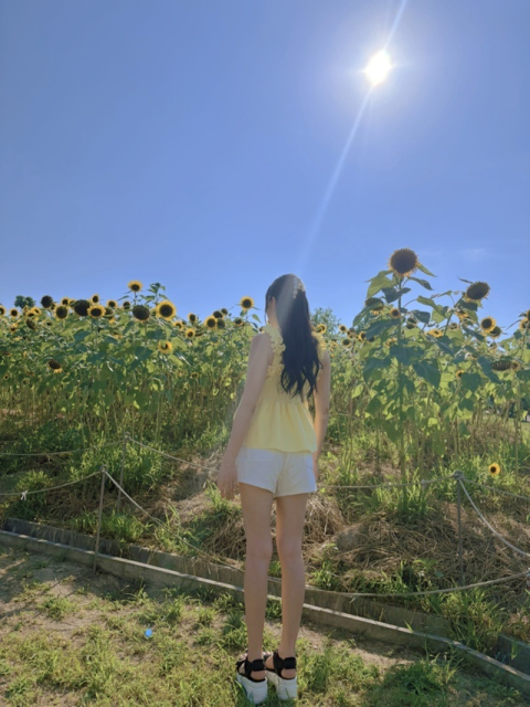 夏が恋しい、、、。