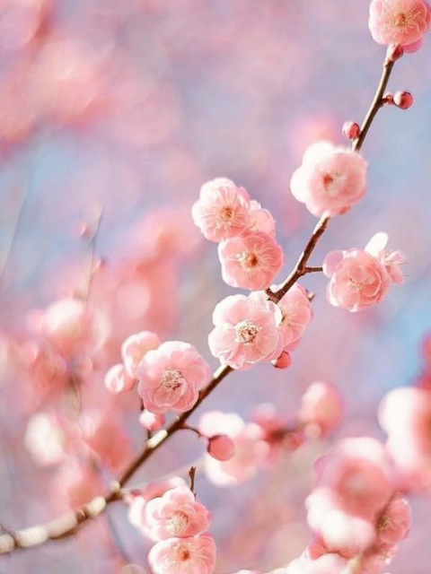 12時〜出勤です✨✨