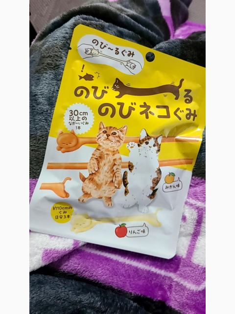 なにこれぇ⁉️
