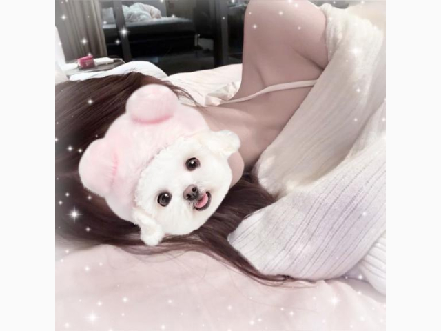 しゅっきん