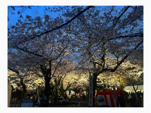 いよいよ4月