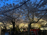 いよいよ4月