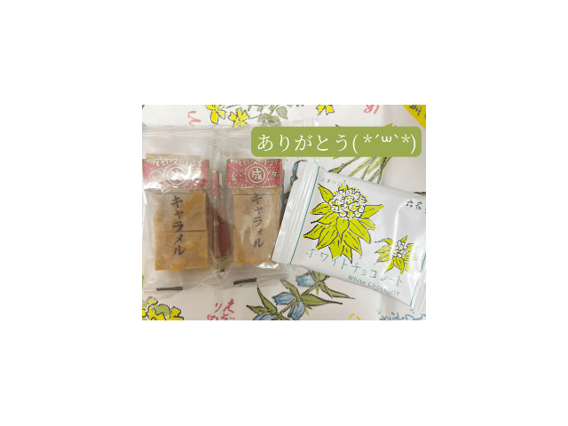 💌トキワウエスト Mさん