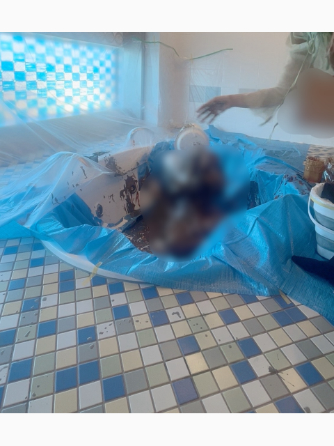 あ!お皿顔面にくっついちゃった!!?