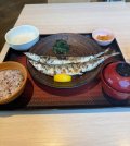 🐟🤍 秋刀魚にハマり中♡