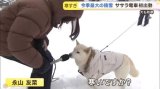 🦋おやすみ