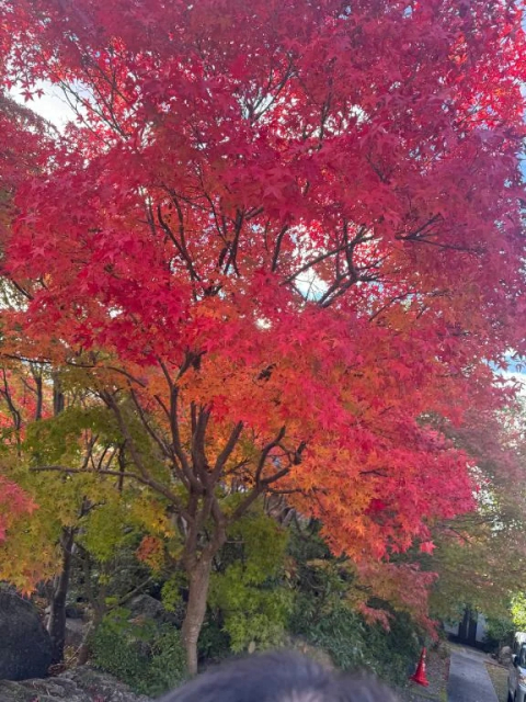 おはようございます!!
