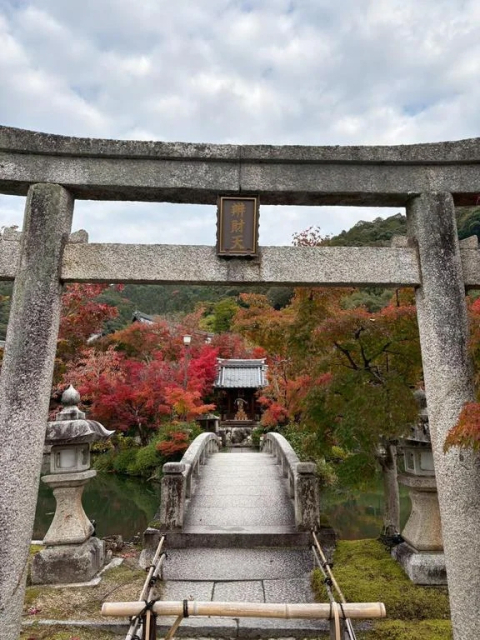 7日のお礼です♪