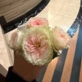 ありがとう🎀