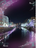 ☆夜桜