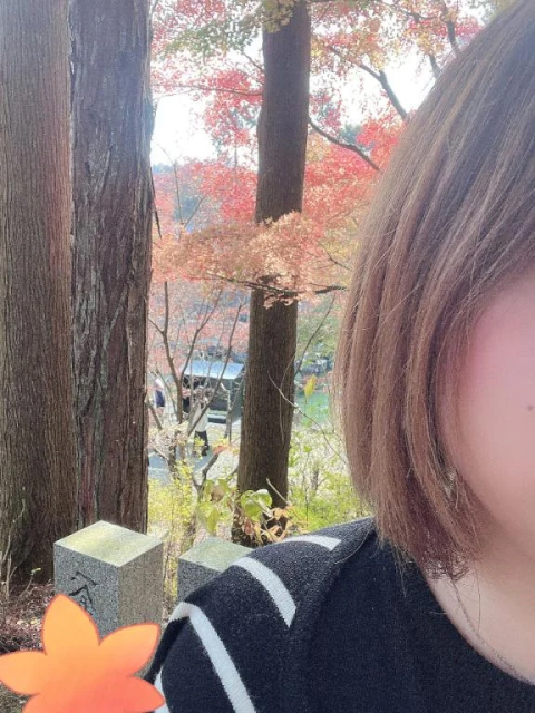 出勤しました。