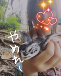 念願の甲羅磨き