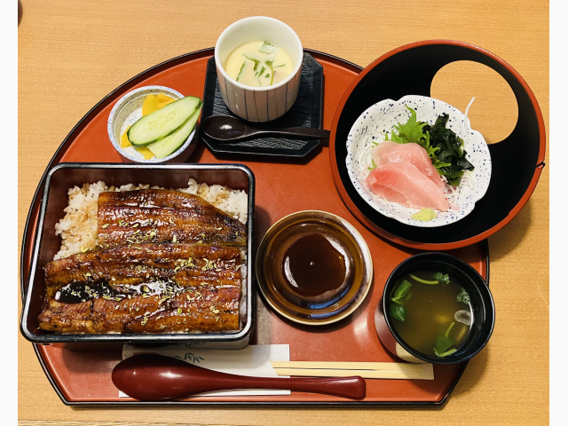 １年が経ちました