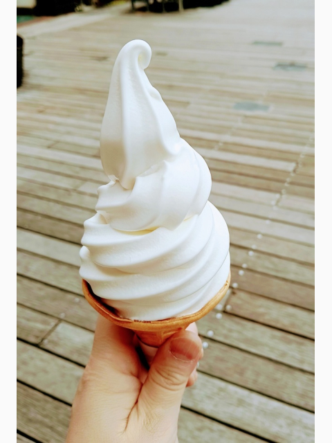 今日はありがとうございました