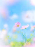 おはようございます✨