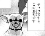 🦋新しい出会いってワクワクするよね