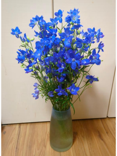 ありがとうございました