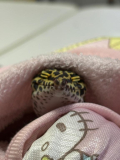 休日の幸せ💞