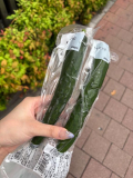 1番好きな野菜🥒