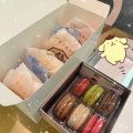 💌 ラムセスタワー1006