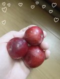 すっっぱ甘い