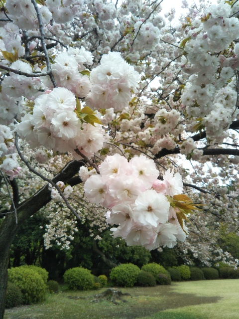 今日はありがとうございました