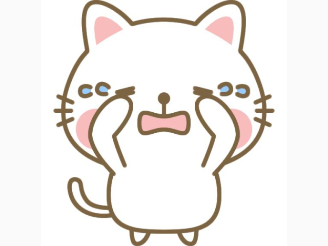 お願い🙇🏻‍♀️✨