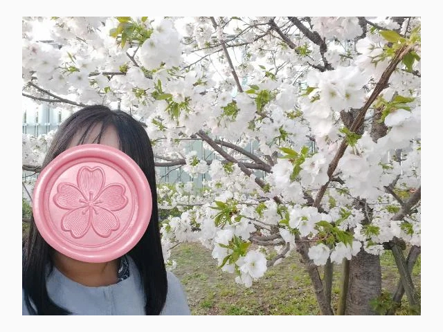 7~9日🌸来福✈️𓈒𓂂𓏸
