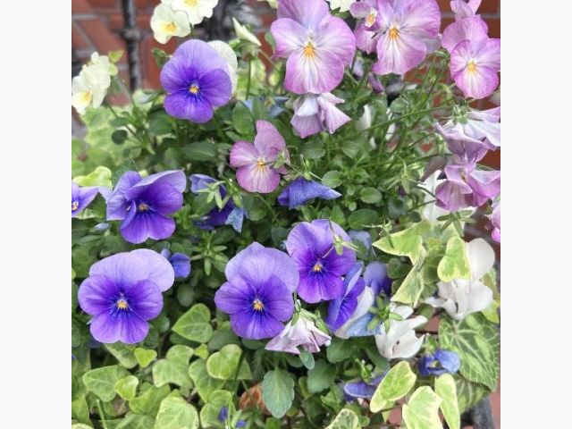 暖かくなってきましたね🌸