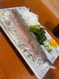 鯖🐟