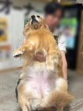 明日おやすみしますm(__)mごめんなさい！