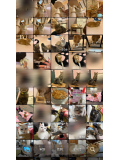 猫愛🐈💖