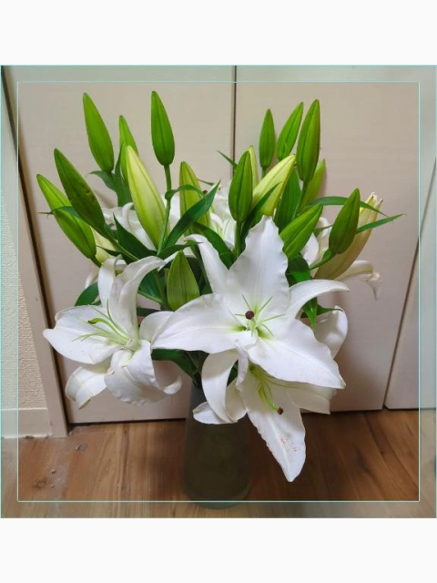 ありがとうございました