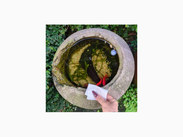 久しぶりに・・・