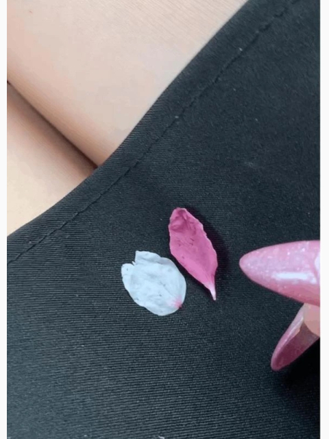 🌸💓花ビラ⌒🌸🍃