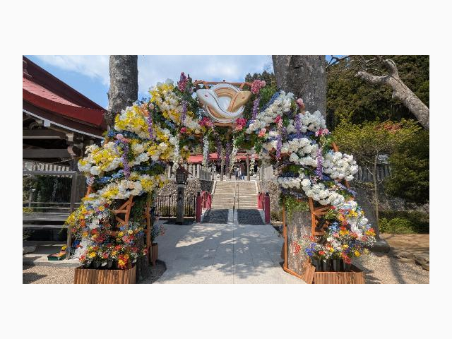 行きたいところは︎💕花まつりをしてる︎💕金蛇水神社さん︎💕